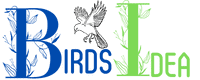 BirdsIdea Web Logo