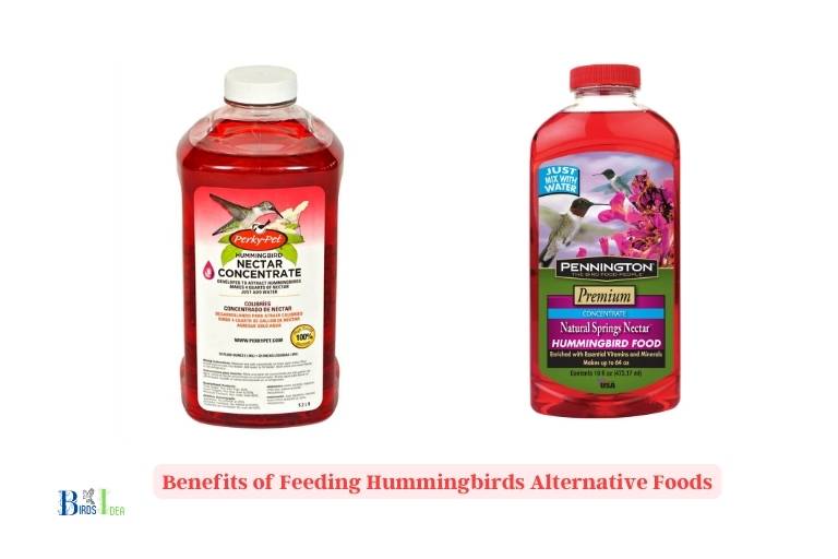 What Are The Benefits of Feeding Hummingbirds Alternative Foods