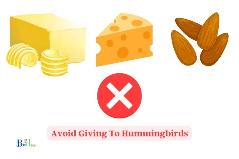 What Foods Should I Avoid Giving To Hummingbirds