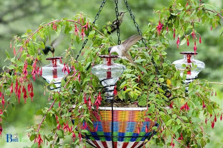 How Can Gardeners Help Provide Ideal Nesting Sites for Hummingbirds
