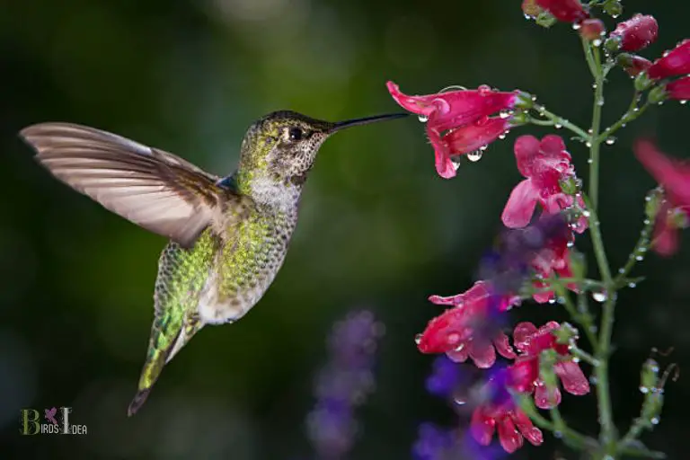 How Does It Help in Drinking Nectar