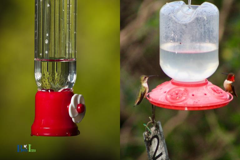 Hummingbird Feeder Options