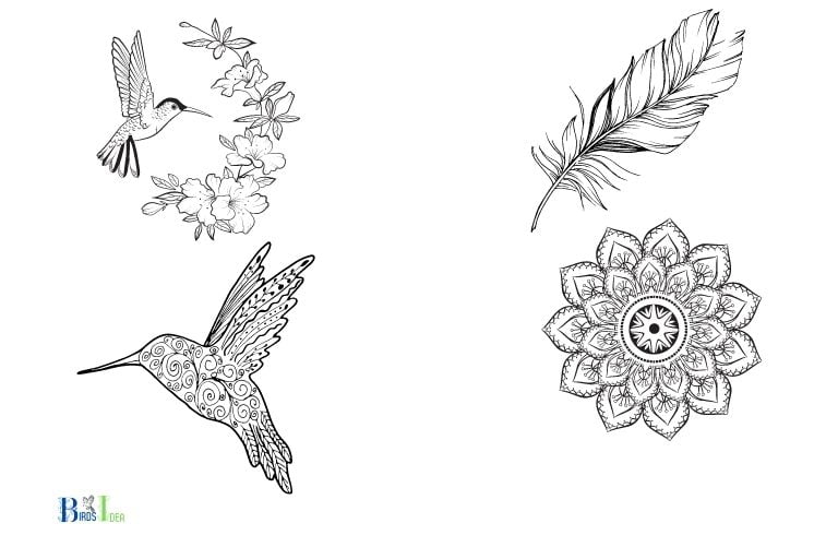 Hummingbird Tattoo Design Ideas
