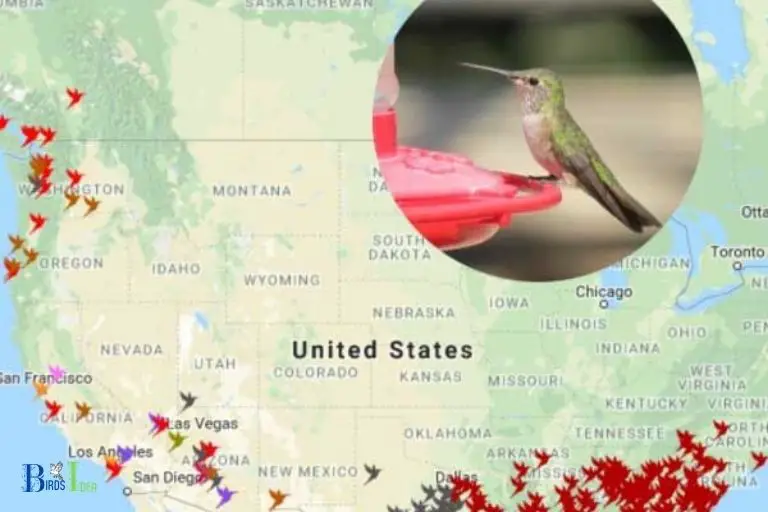 Range and Migration Patterns of Hummingbirds