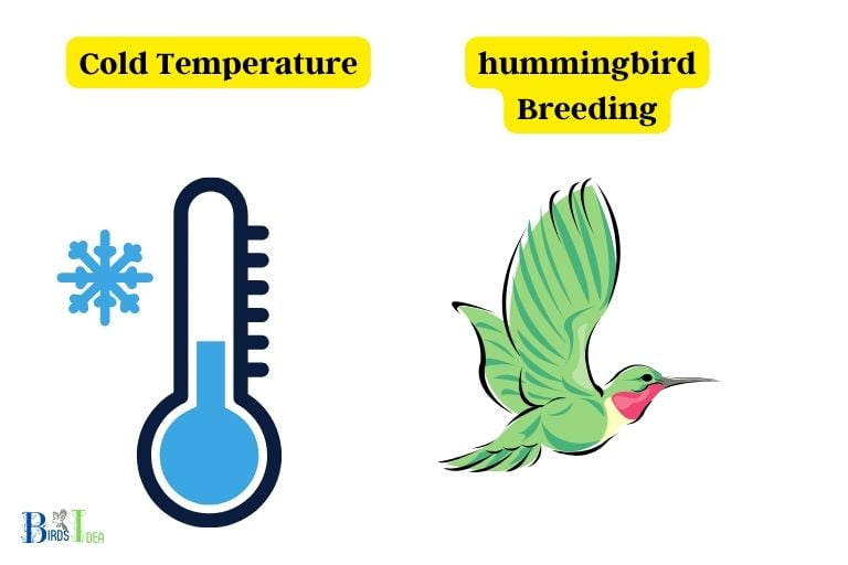 Reasons Why Hummingbirds Leave Georgia