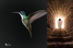 What Does A Hummingbird Symbolize In The Bible? Joy, Love!