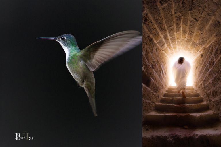 What Does A Hummingbird Symbolize In The Bible
