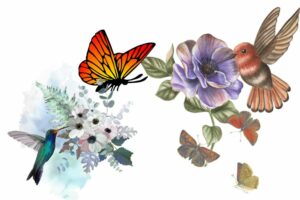 What Flowers Attract Hummingbirds And Butterflies