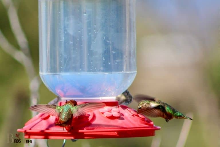 What Type Of Sugar For Hummingbirds: White Granulated