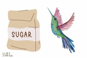What Type of Sugar for Hummingbirds: White Granulated
