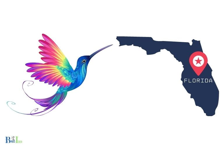 are there hummingbirds in florida