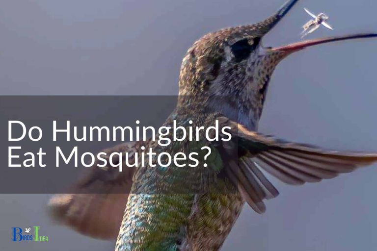 do hummingbirds eat mosquitoes