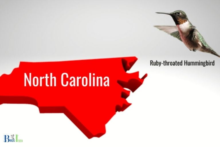 when do hummingbirds leave north carolina