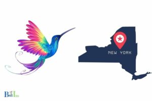 Are There Hummingbirds in New York: Yes, 5 Species!