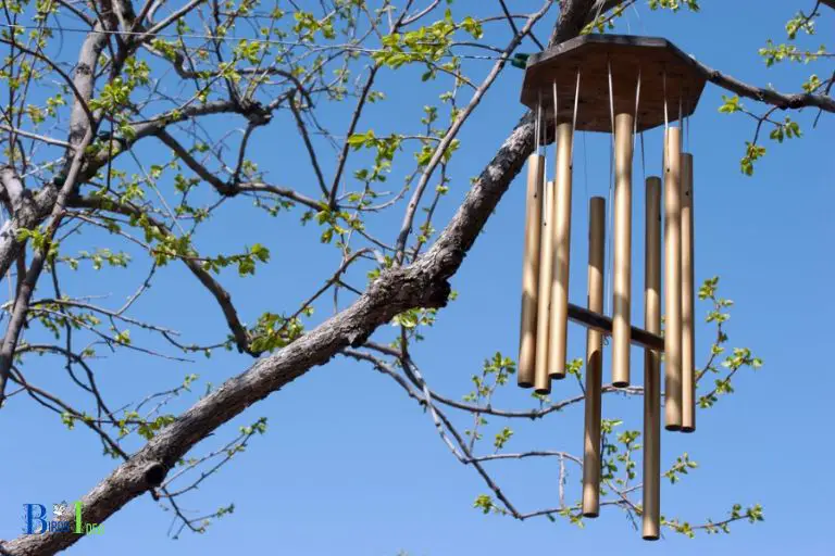 Are Wind Chimes Useful for Scareing Hummingbirds From Gardens