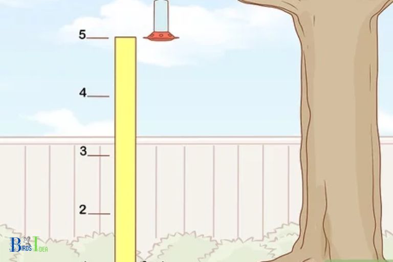 Benefits Of A DIY Hummingbird Feeder Stand