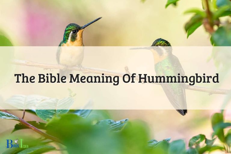 Biblical Perspectives of Hummingbirds