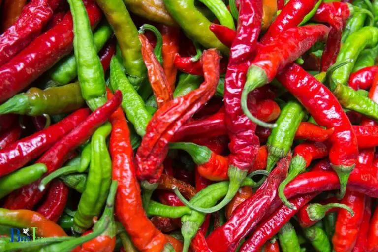 Conclusion on the Safety of Ingesting Cayenne Pepper by Hummingbirds