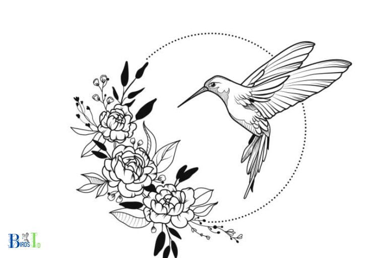 Conclusion How to Draw a Hummingbird Successfully