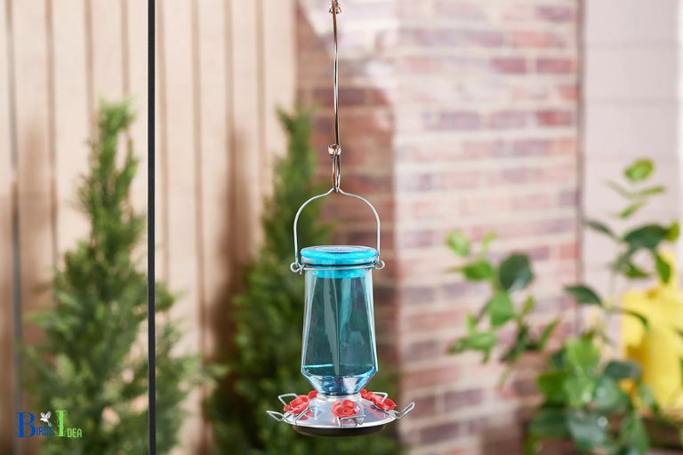 Directions for Hanging The Feeder