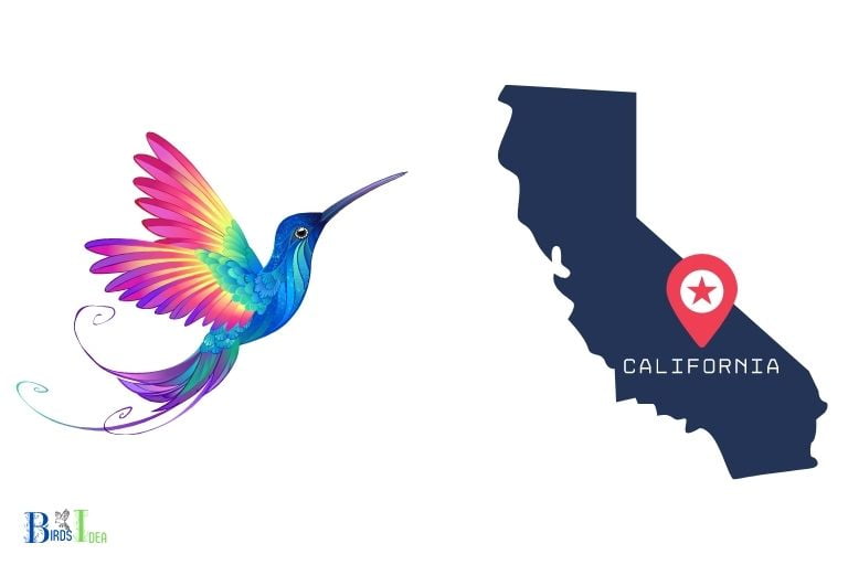 Do California Hummingbirds Migrate