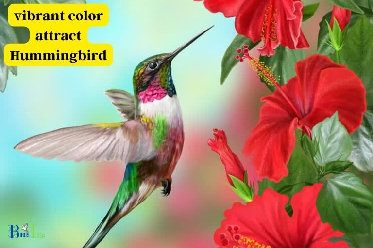 Does the Color of a Flower Matter to Hummingbirds