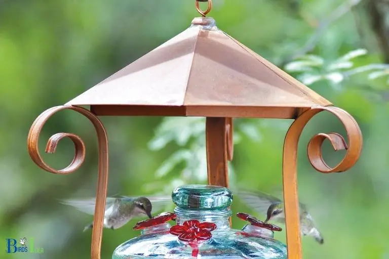 Feeders and Homes for Hummingbirds
