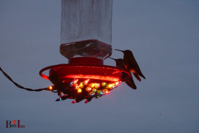 Hanging the DIY Hummingbird Feeder Heater Outside