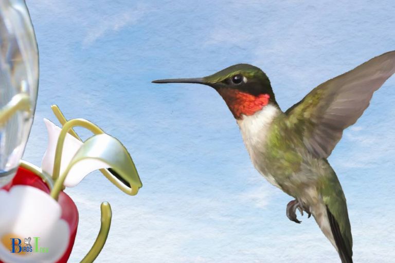 How Do Hummingbirds Detect Small Concentrations of Sugar in Water