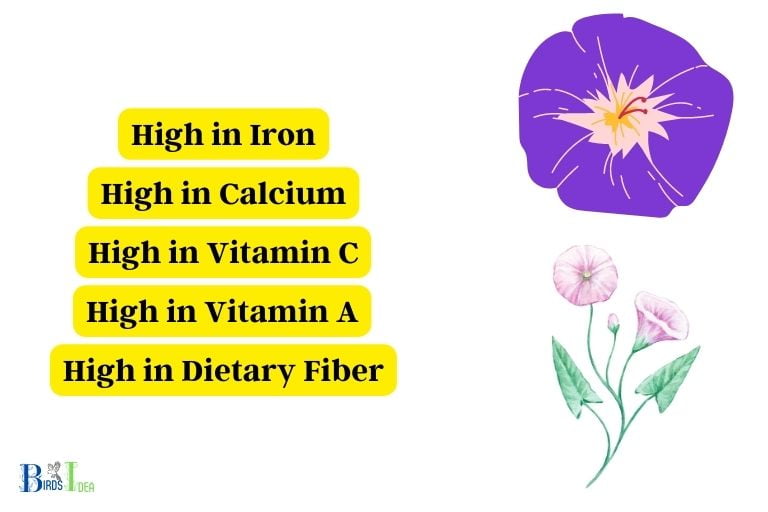 How Do Morning Glories Provide Nutrition