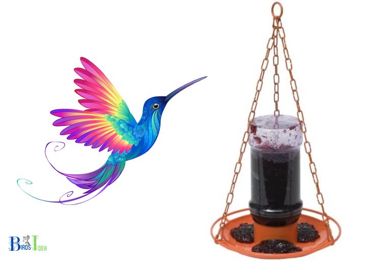 How Does Grape Jelly Attract Hummingbirds