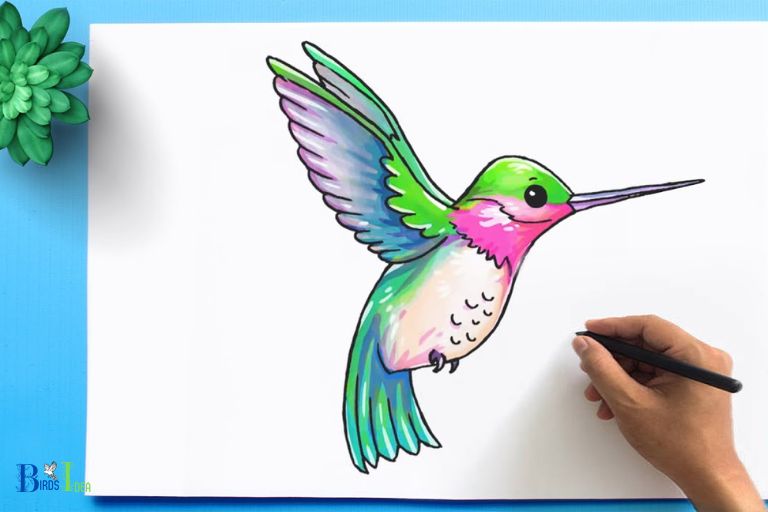 How To Draw Hummingbird Easy Step By Step!