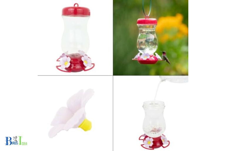 How to Fill Glass Hummingbird Feeder