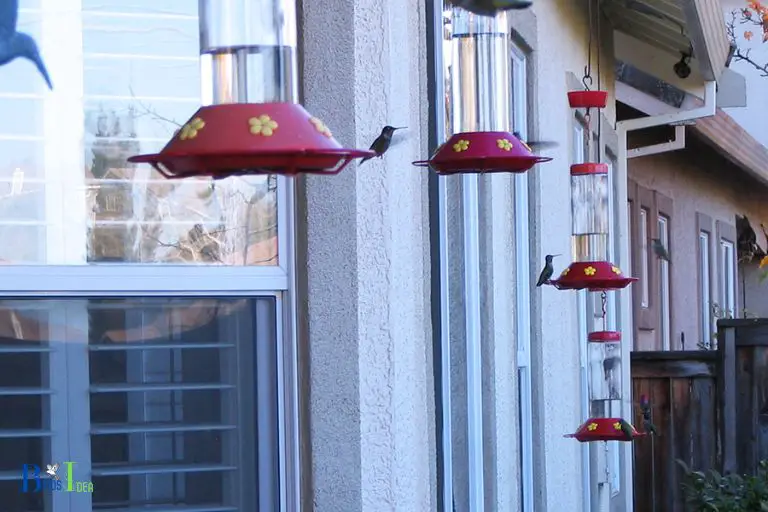 How to Hang Hummingbird Feeder on Balcony