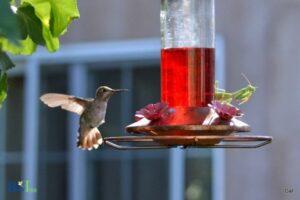 How to Keep Praying Mantis Away from Hummingbird Feeders? 6 Methods!