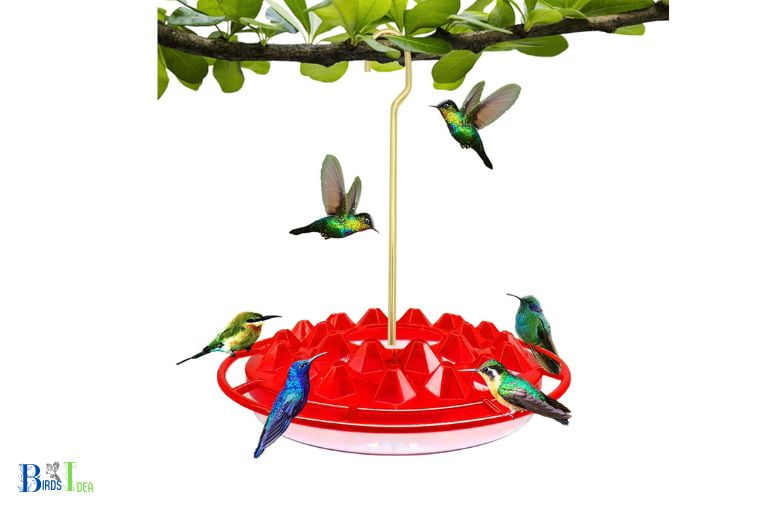 How to Make It Easier for Hummingbirds to Identify the Feeder