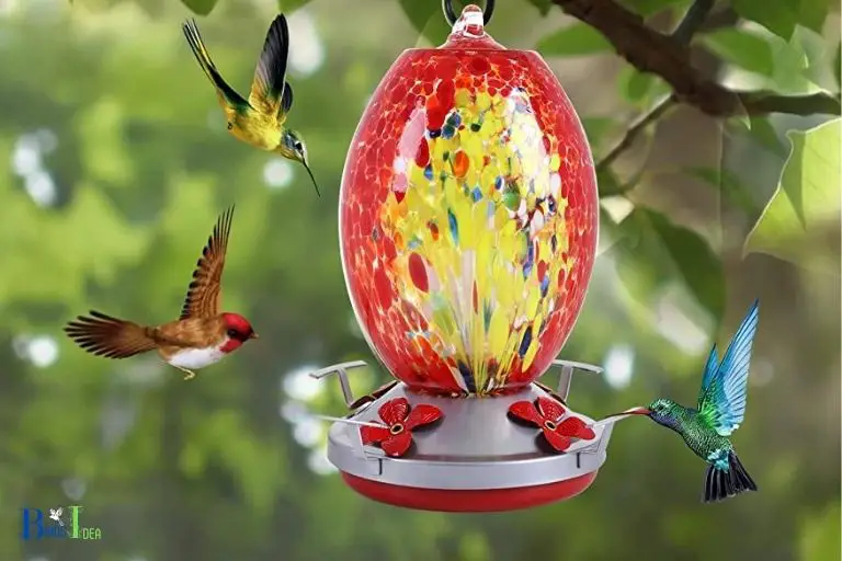 Impact of Early Placement of Hummingbird Feeders in Michigan