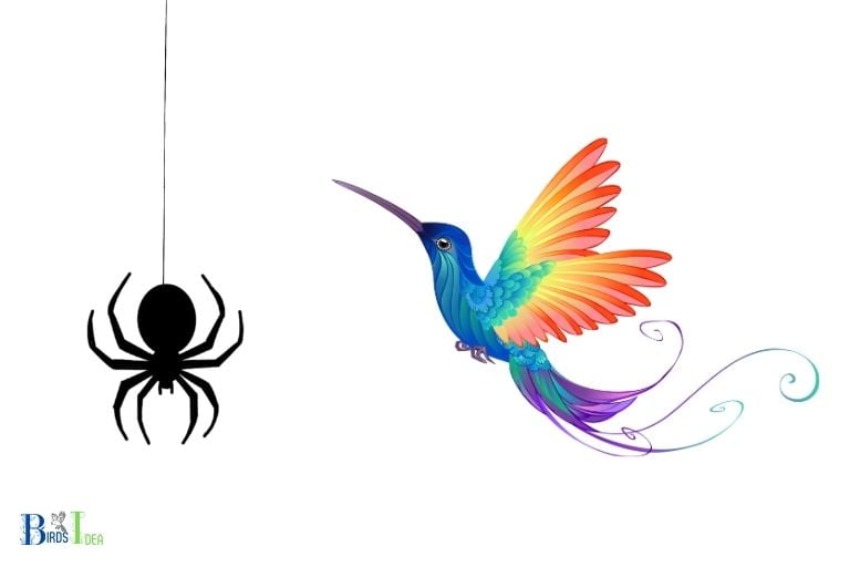 Is Eating Spiders Common for Hummingbirds