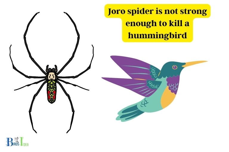 Is the Venom of Joro Spiders Strong Enough to Kill a Hummingbird