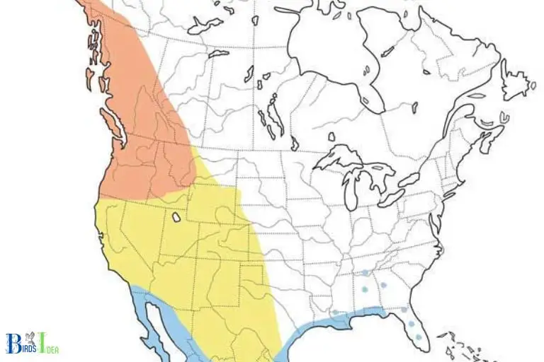 Migration Patterns of Hummingbirds in Long Island