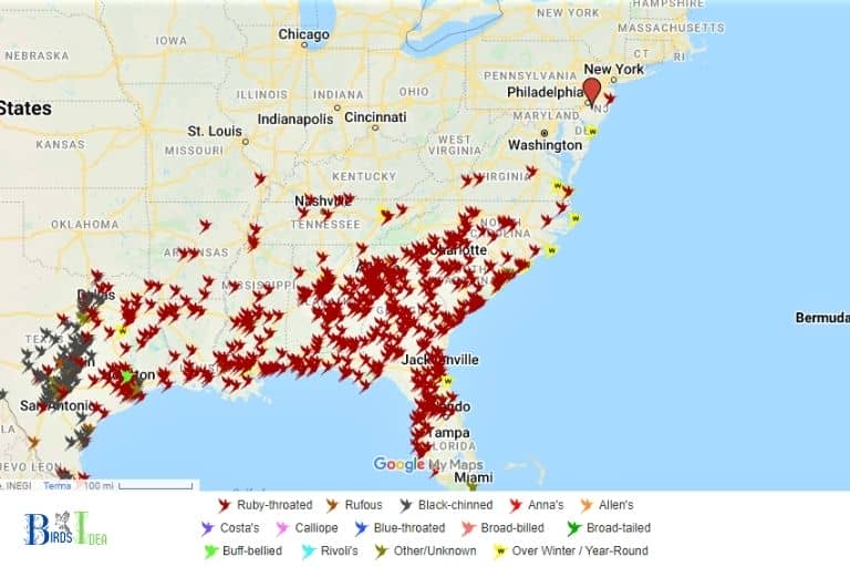 Overview of Hummingbird Migration