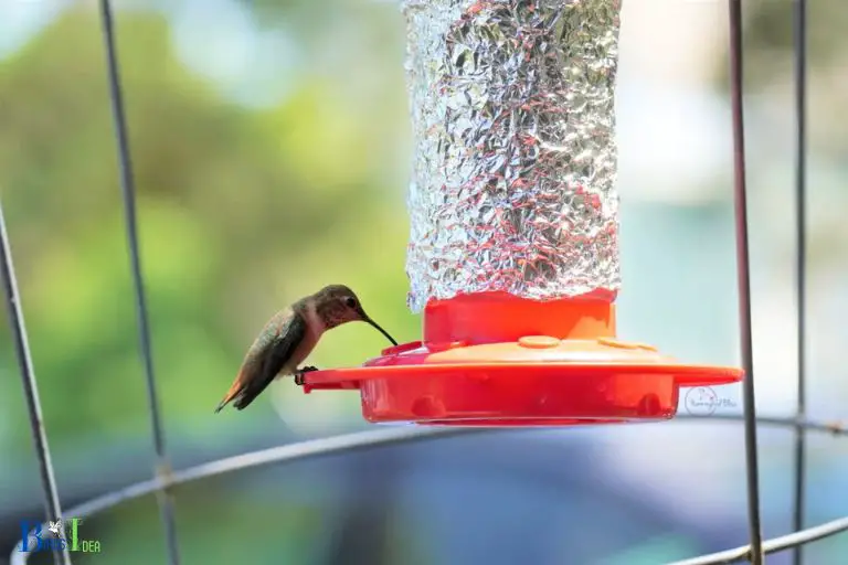 Placing the Feeder for Maximum Protection