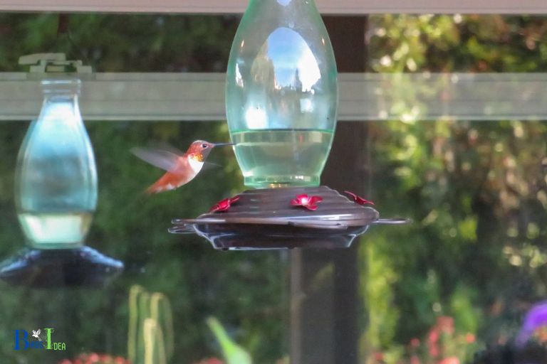 Safety Tips for Filling the Feeder