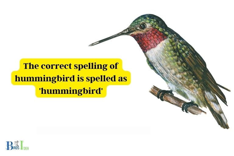 The Correct Spelling of Hummingbird