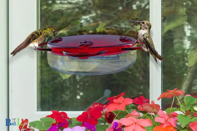 Tips for Attracting and Feeding Hummingbirds