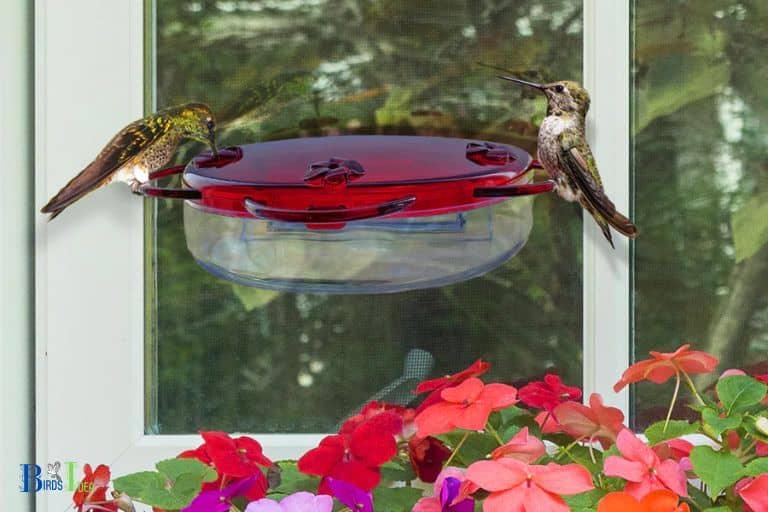 Tips for Attracting and Feeding Hummingbirds