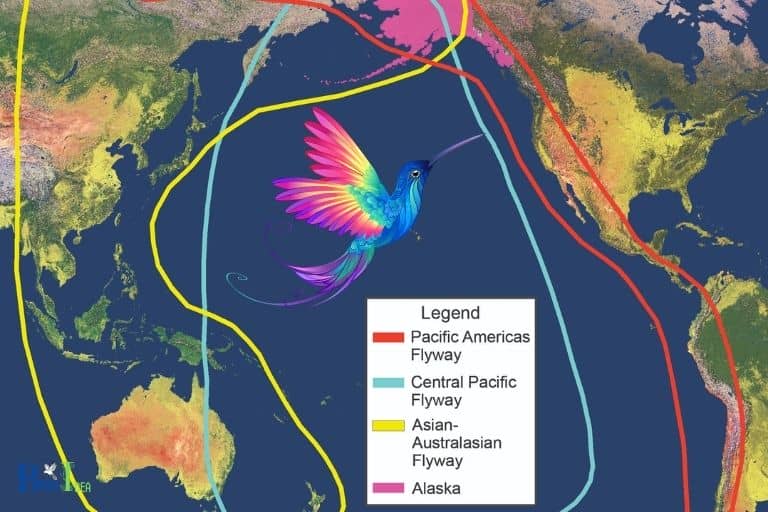 Understanding the Typical Migration Pattern of Hummingbirds in Maine