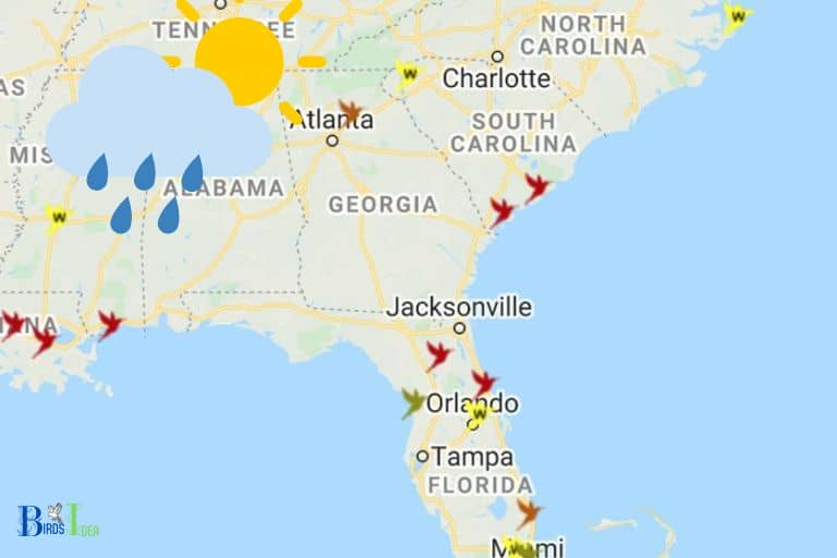 Weather and Hummingbird Migration