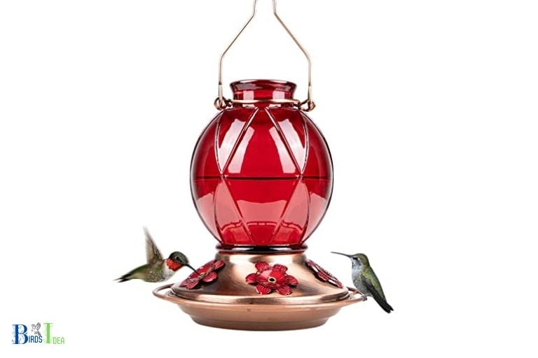 What Are The Benefits of a Longer Lasting Hummingbird Feeder