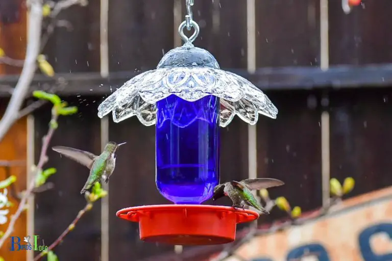 What Are the Benefits of Installing a Hummingbird Feeder on a Balcony